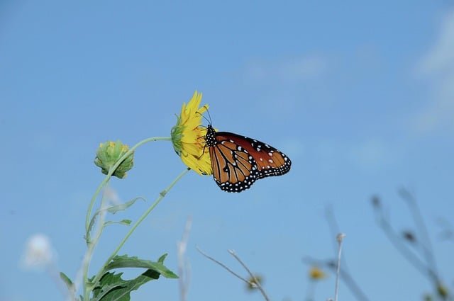 Pronósticos VIP: favoritos con alta confianza hoy | BetSystem1x2