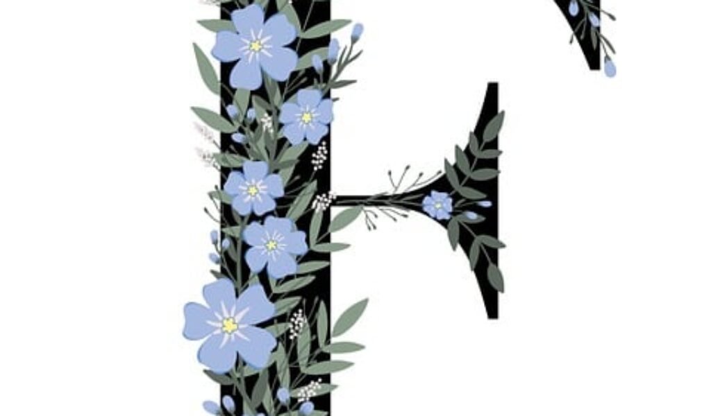 Picks de fútbol hoy: pronósticos VIP y cuotas top