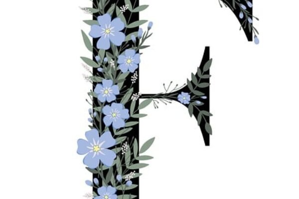 Picks de fútbol hoy: pronósticos VIP y cuotas top